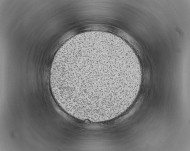 X0000112781049200910011253