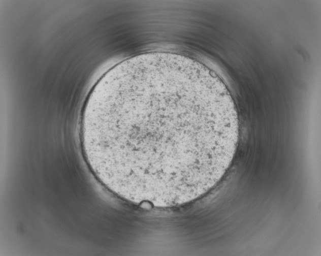 X0000112781050200910011253