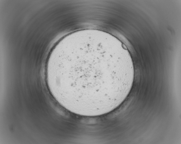 X0000112781051200910011253