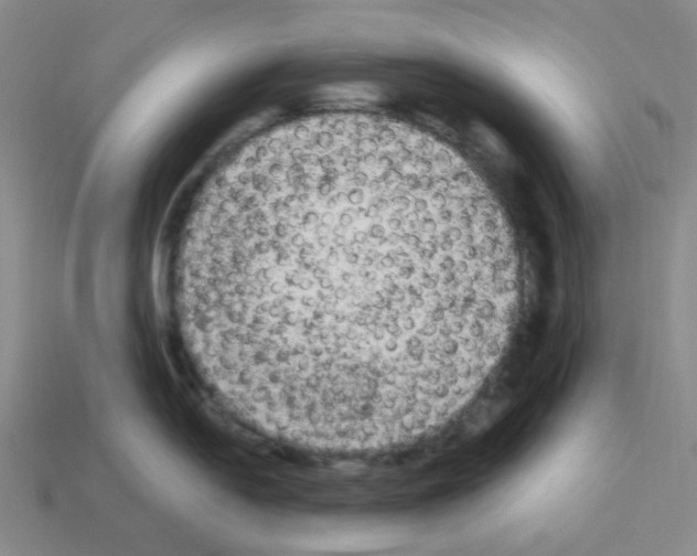 X0000112781054200910011253