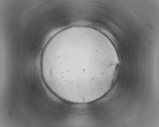 X0000112781055200910011253