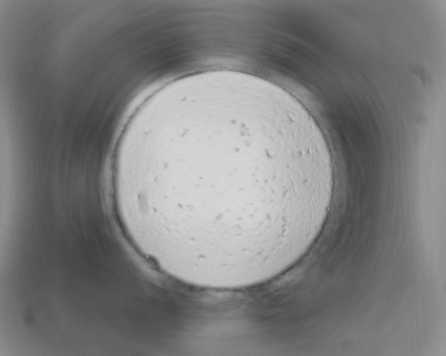 X0000112781056200910011253