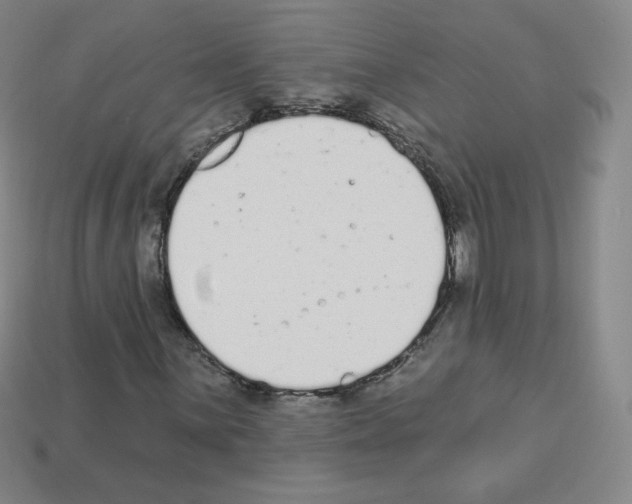 X0000112781059200910011253