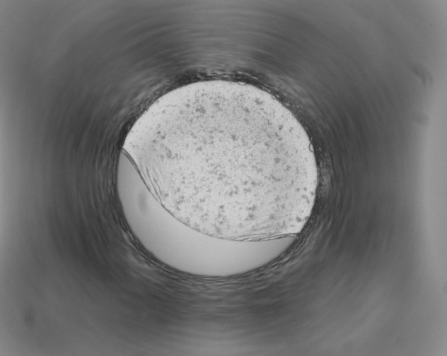 X0000112781060200910011253