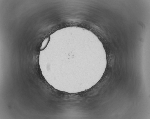 X0000112781061200910011253