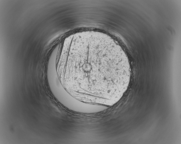 X0000112781064200910011253