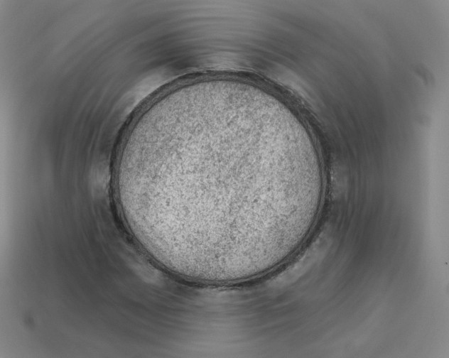 X0000112781065200910011253