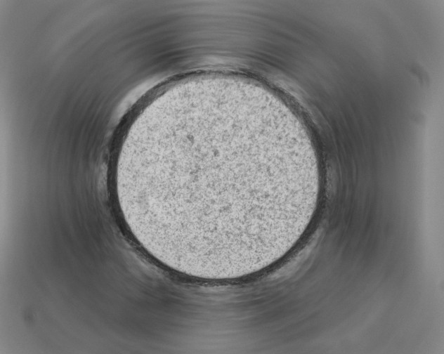 X0000112781066200910011253