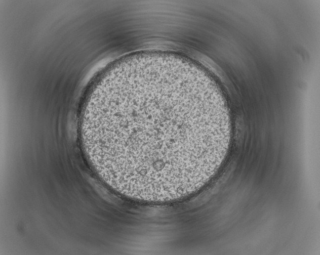 X0000112781067200910011253