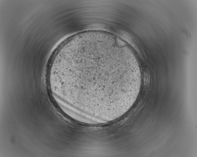 X0000112781068200910011253