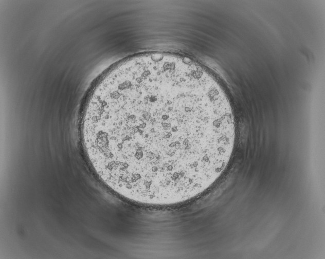 X0000112781071200910011253