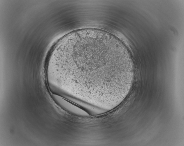 X0000112781072200910011253