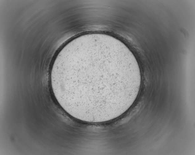 X0000112781073200910011253