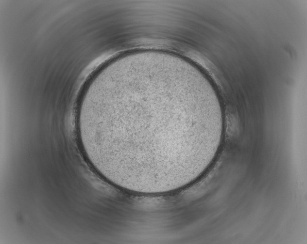 X0000112781074200910011253