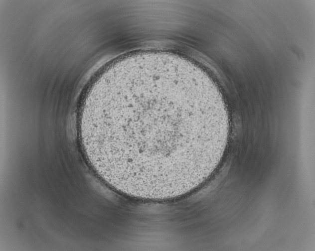 X0000112781075200910011253