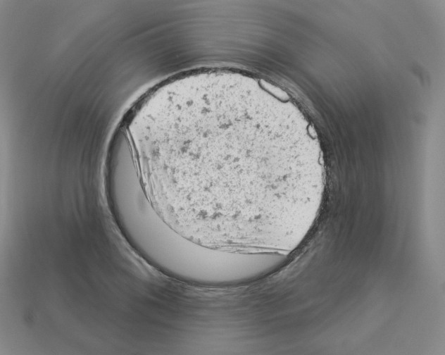 X0000112781076200910011253