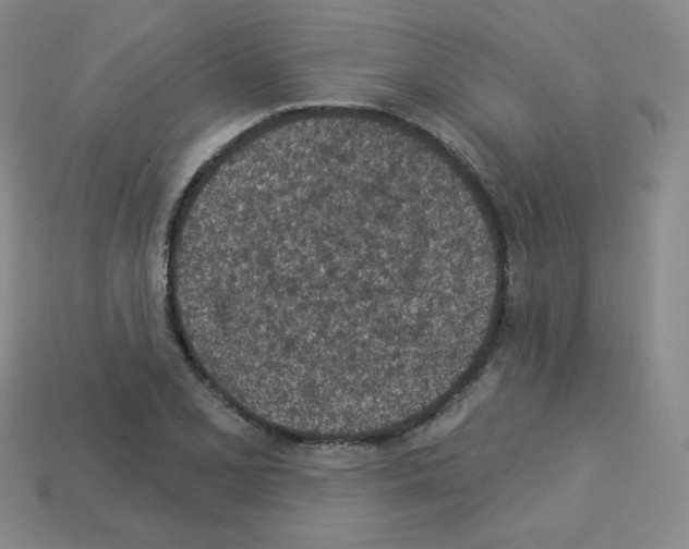 X0000112781077200910011253