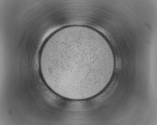 X0000112781078200910011253