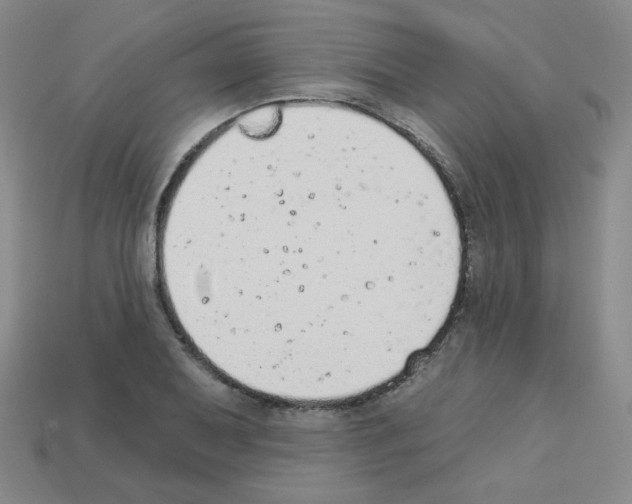 X0000112781079200910011253