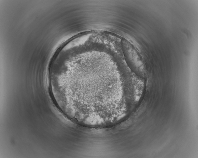 X0000112781080200910011253