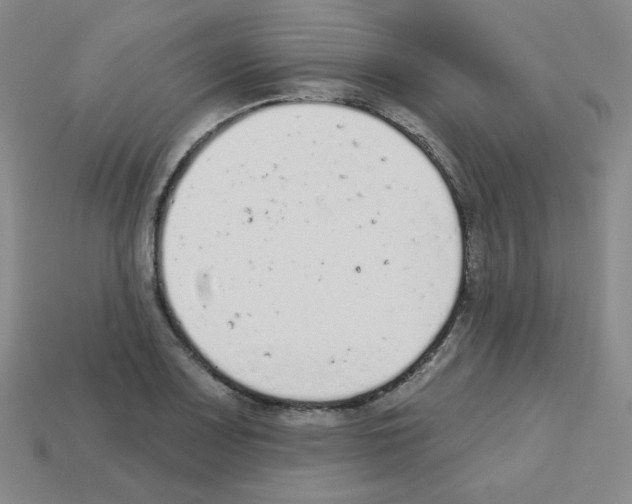 X0000112781083200910011252