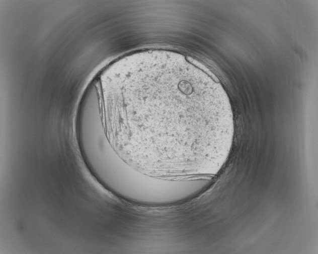 X0000112781084200910011252