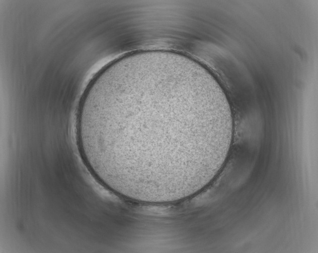 X0000112781086200910011252