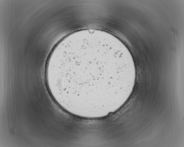 X0000112781087200910011252