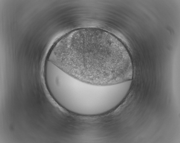 X0000112781088200910011252