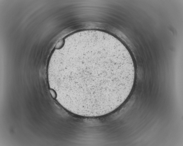 X0000112781089200910011252