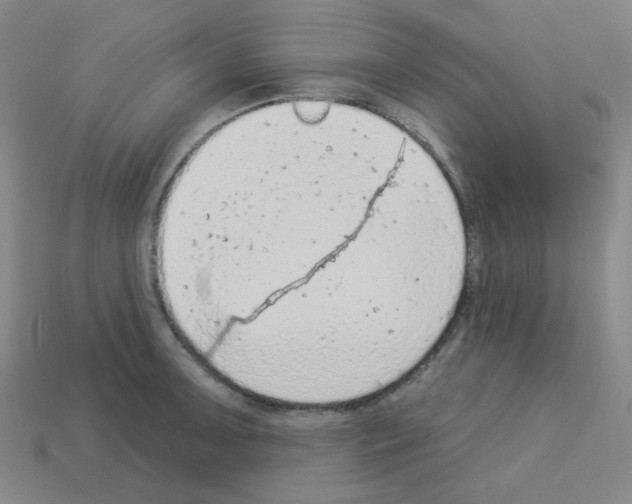 X0000112781091200910011252