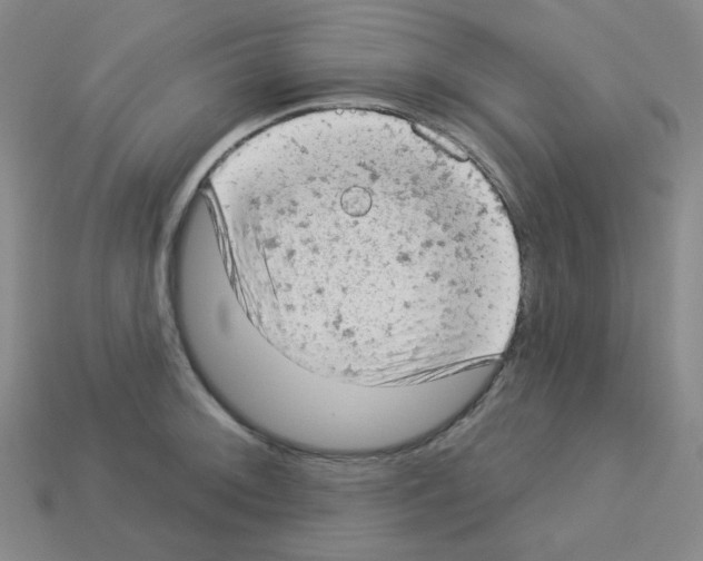 X0000112781092200910011252