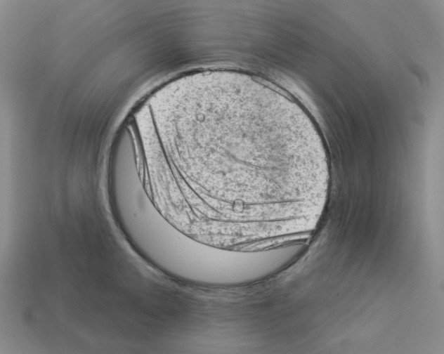 X0000112781093200910011252