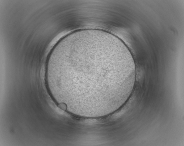 X0000112781094200910011252