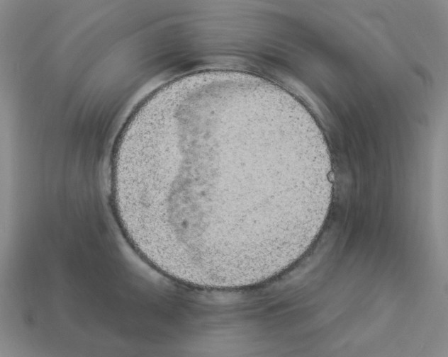 X0000112781095200910011252