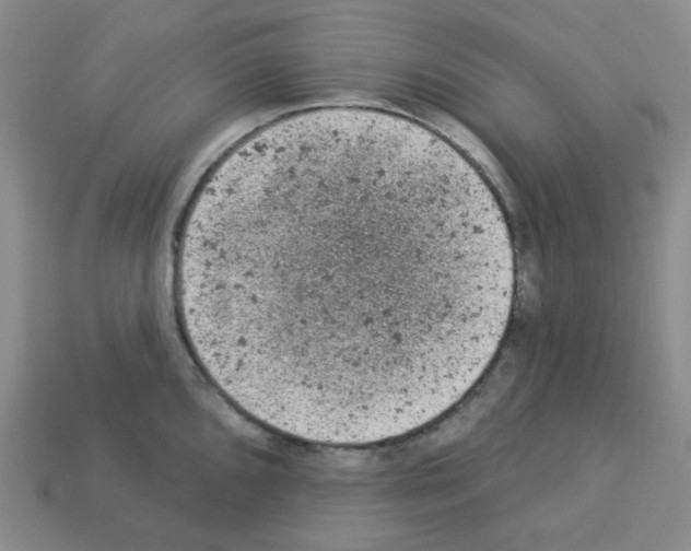 X0000112781096200910011252