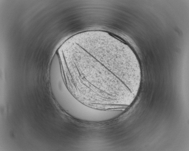 X0000112781097200910011252