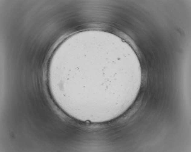 X0000112781099200910011252