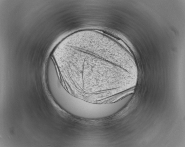 X0000112781101200910011252