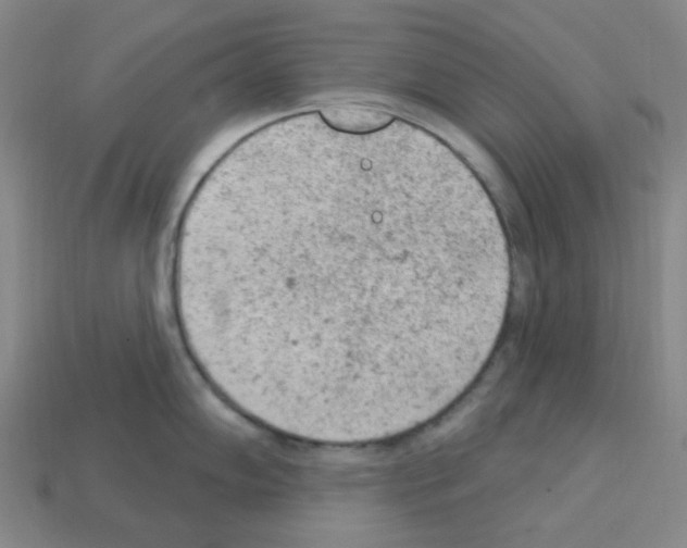 X0000112781102200910011252