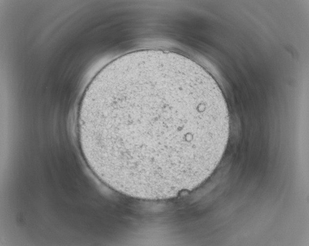 X0000112781103200910011252