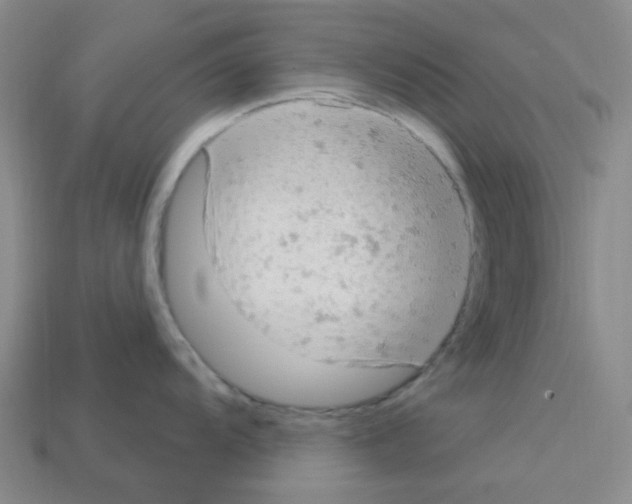 X0000112781104200910011252