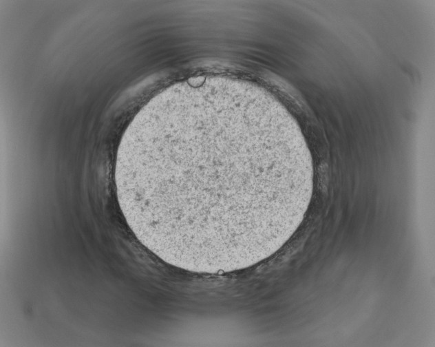 X0000112781111200910011251