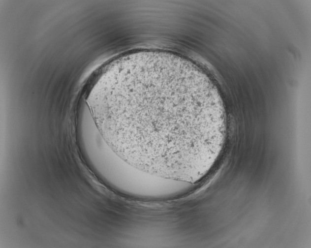 X0000112781114200910011252