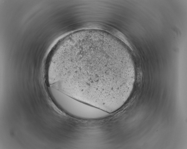 X0000112781116200910011252