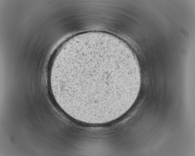 X0000112781118200910011252