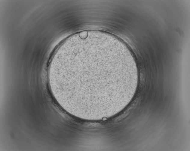 X0000112781119200910011252