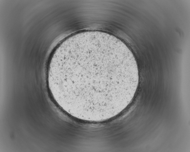 X0000112781122200910011252