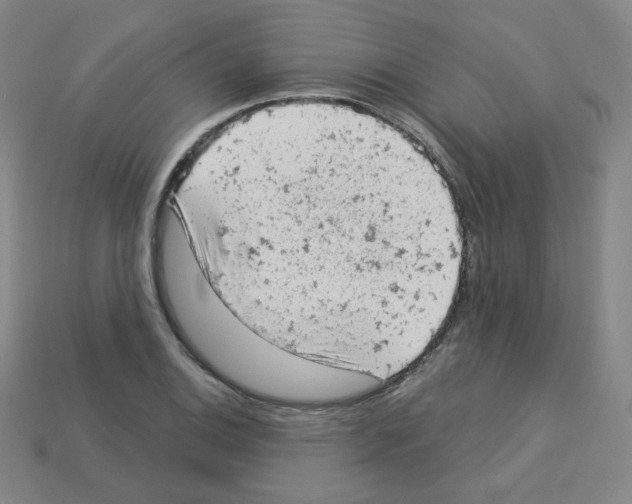 X0000112781124200910011252