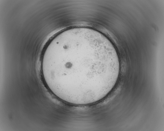 X0000112781125200910011252